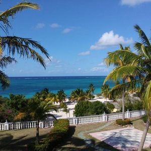 Meet your Posher, Jacinthe